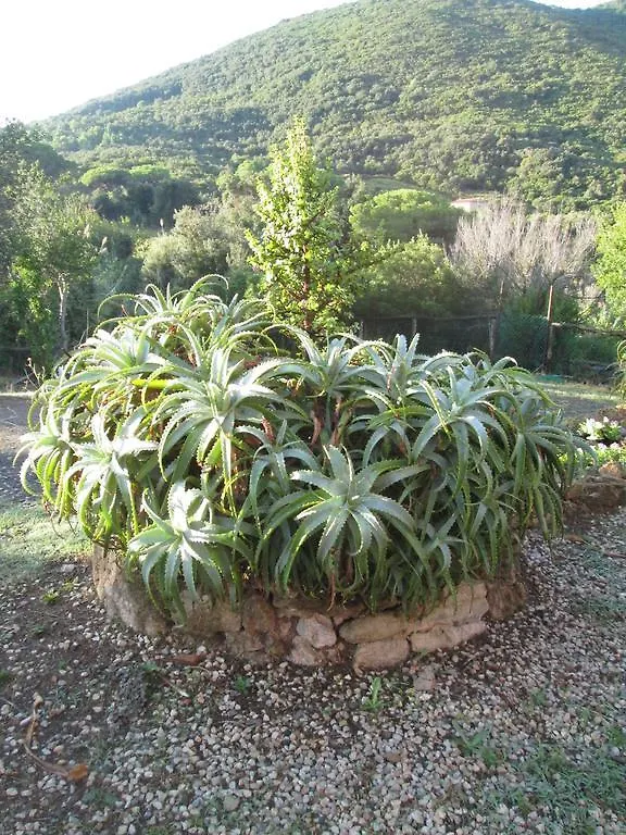 Farm stay Agriturismo Amandolo Villa Cavo